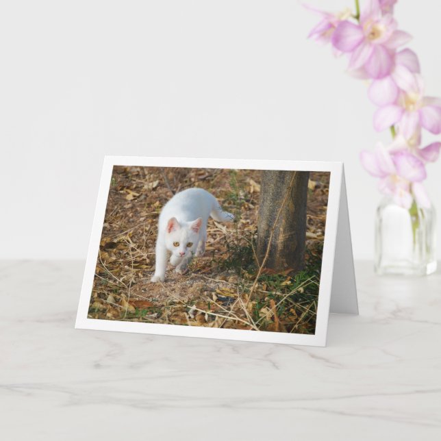 White Kitten in Forest Portrait Card (Orchid)