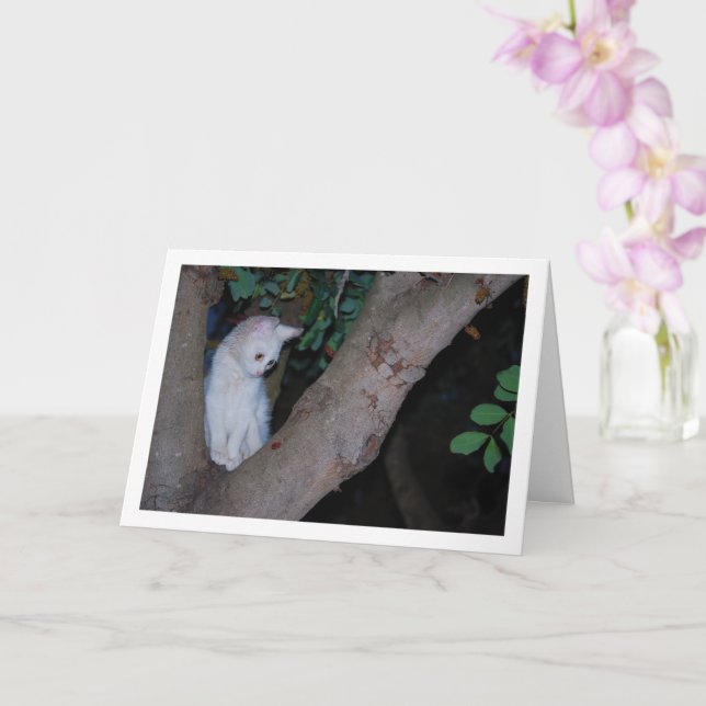 White Kitten in Tree Portrait Card (Orchid)