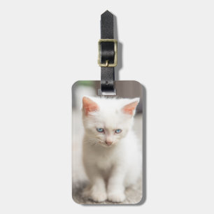 White Kitten Luggage Tag