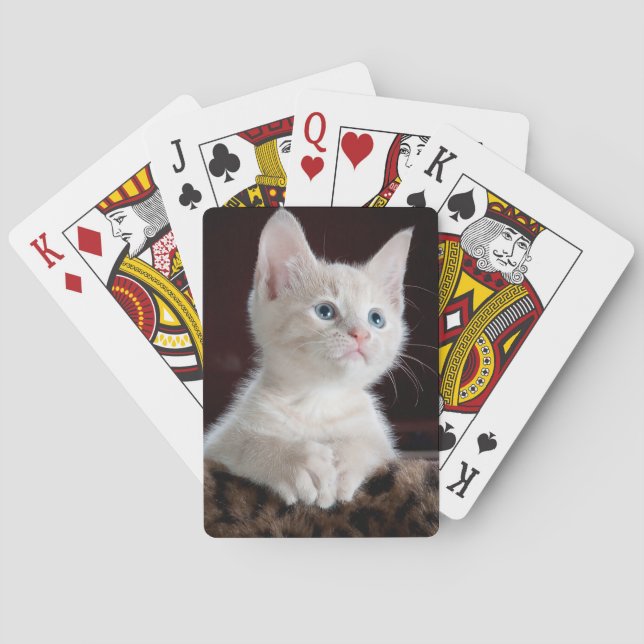 White kitten playing cards. playing cards (Back)