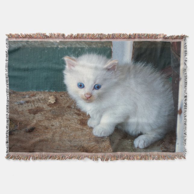 White Kitten Throw Blanket (Front)