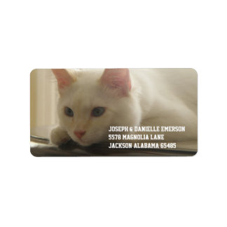 White Kitty Address Labels