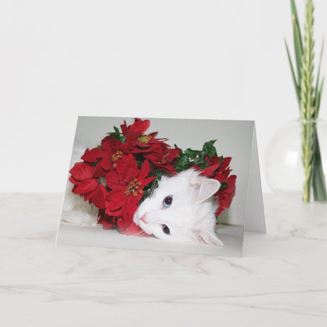 White kitty Christmas Holiday Card (Front)