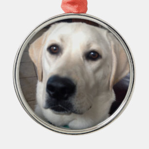 White Lab Metal Tree Decoration