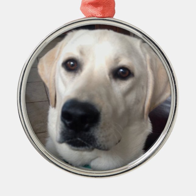White Lab Metal Tree Decoration (Front)