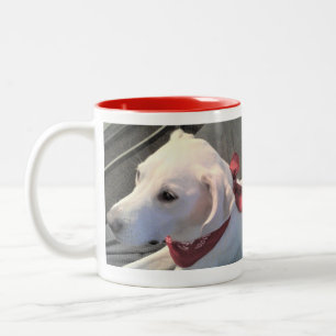 White Labrador Retriever Mix Dog Wearing Red Scarf Two-Tone Coffee Mug