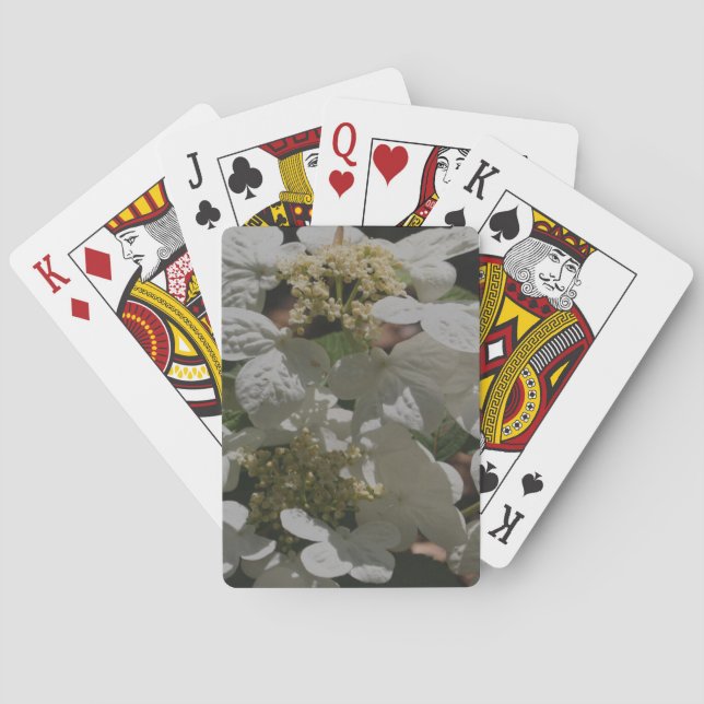 White Lace Cap Hydrangea Flowers  Playing Cards (Back)