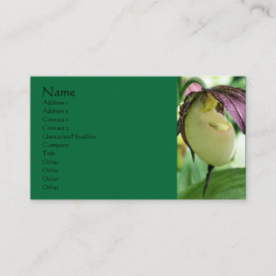 White Lady Slipper Orchid Flower Business Card