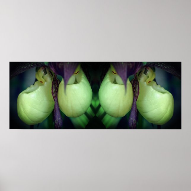 White Lady Slipper Orchid Flowers Mirror Abstract Poster (Front)