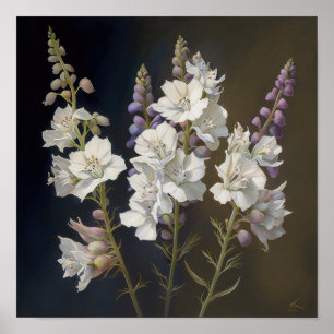 White Larkspur Flower Art Print Poster