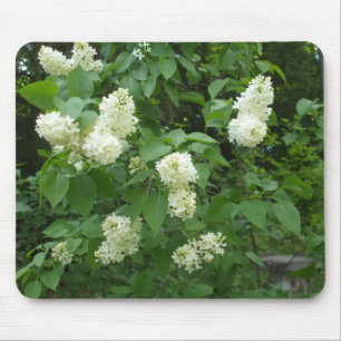White Lilac Bush Mouse Pad