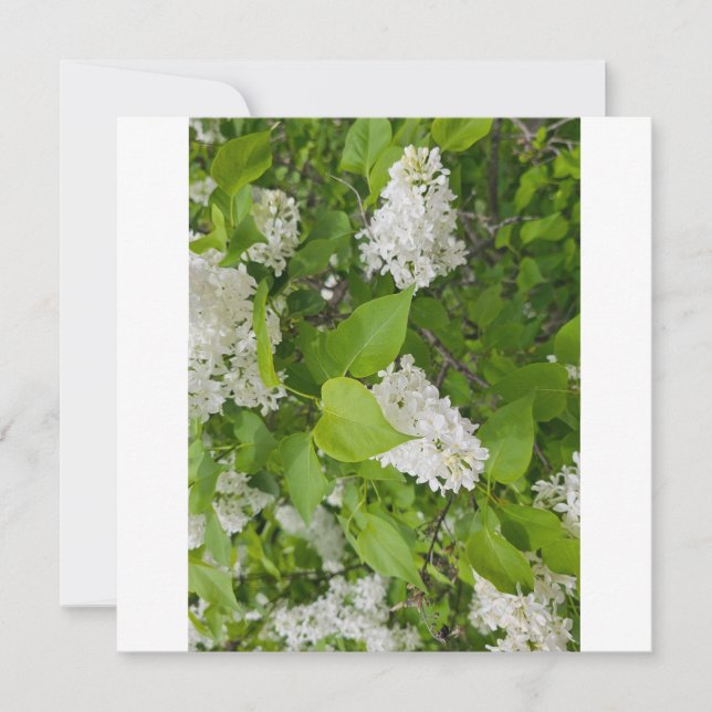 White lilac thank you card (Front)