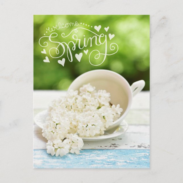 White Lilacs Spring flowers Stilllife Floral Text Postcard (Front)