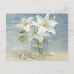 White Lilies and Shells Postcard