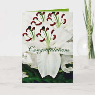 White Lilies_ Card