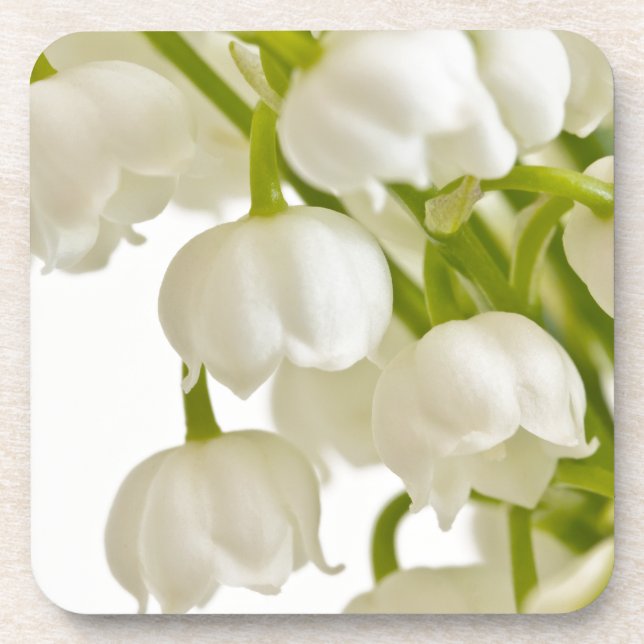White Lilies Coaster (Front)