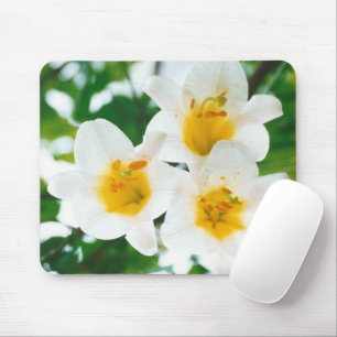 White Lilies - Lily Flower Lilium candidum Mouse Pad