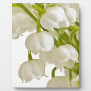 White Lilies Plaque