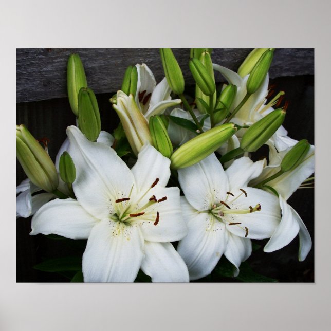 White Lilies Poster (Front)