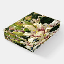 White Lilies  Rectangle