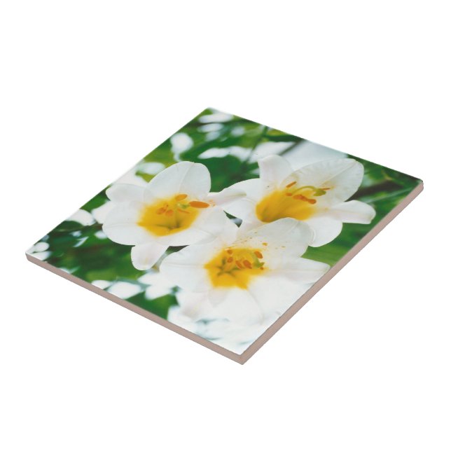 White lilies -  Symbol of love   Tile (Side)