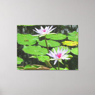 White Lillies Canvas Print