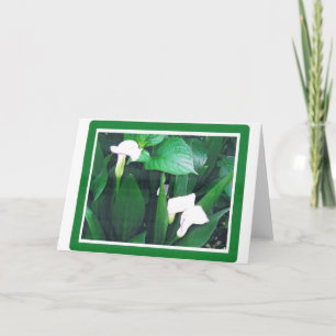 WHITE LILLIES CARD