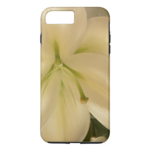 White Lillum Flower Photo iPhone 7 Plus, Tough Case-Mate iPhone Case