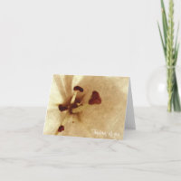 White Lilly Painting Like Sympathy Card