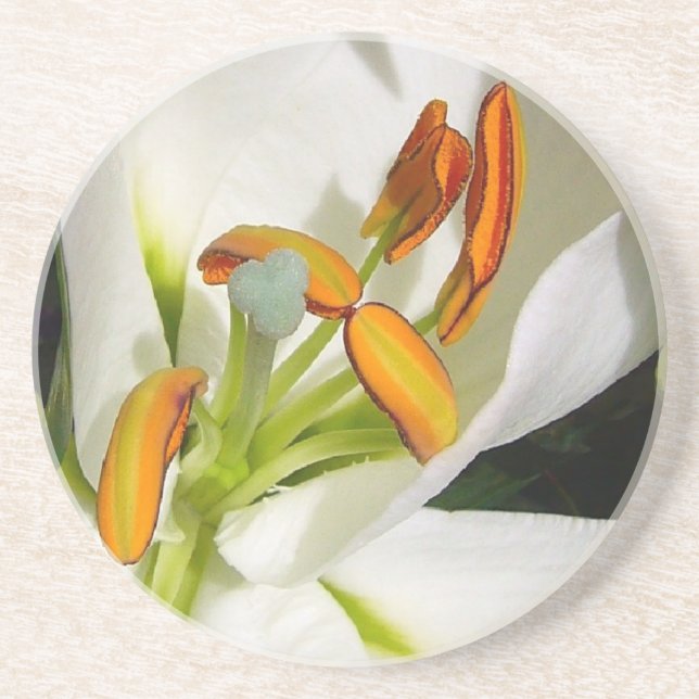 White Lily Coaster (Front)