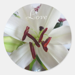 White Lily, flower. Classic Round Sticker