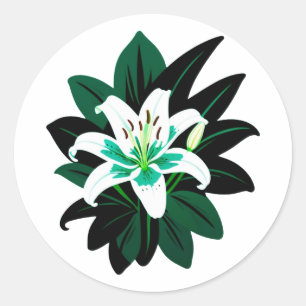 White Lily Flower With Dark Green Leaves Classic Round Sticker