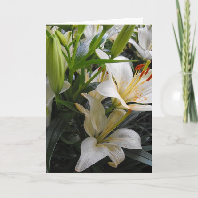 White lily flowers blank greeting card (Front)