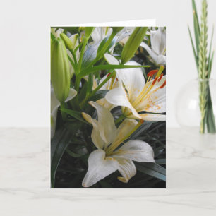 White lily flowers blank greeting card
