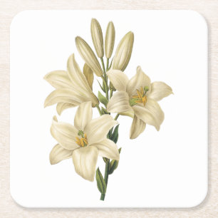 white lily(Lilium candidum) by Redouté Square Paper Coaster