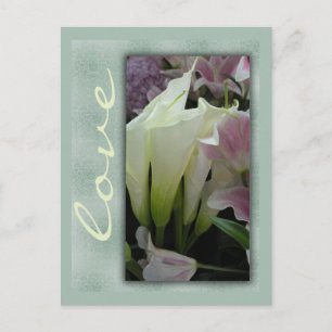 White lily love postcard
