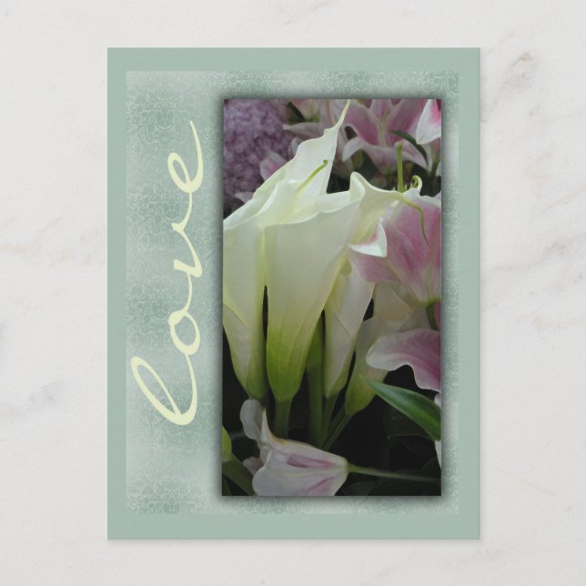 White lily love postcard (Front)