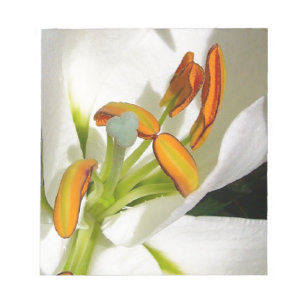 White Lily Notepad