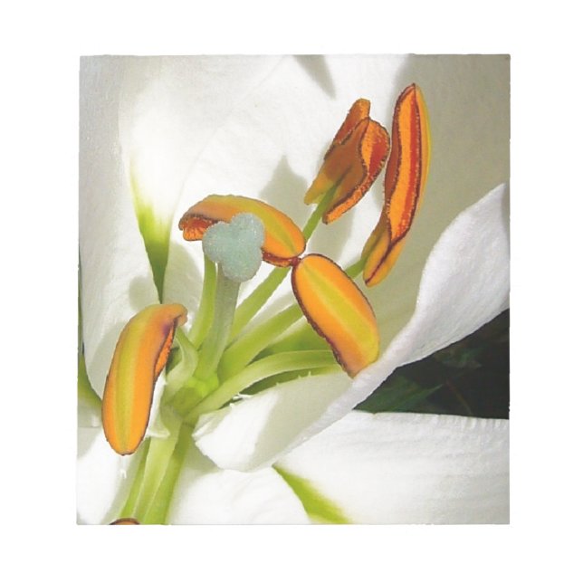 White Lily Notepad (Front)