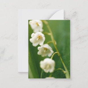 White Lily of the valley (Convallaria majalis) Card