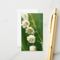 White Lily of the valley (Convallaria majalis)