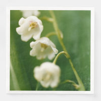 White Lily of the valley (Convallaria majalis) 