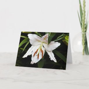 White Lily Sympathy Card