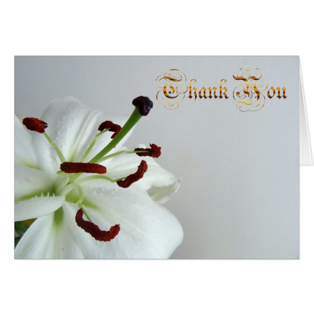  White lily. text. (Front Horizontal)