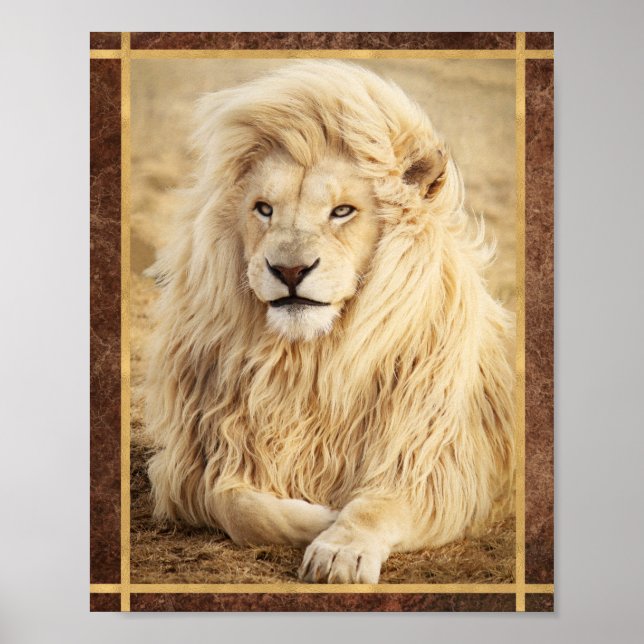 White Lion Photo Poster (Front)