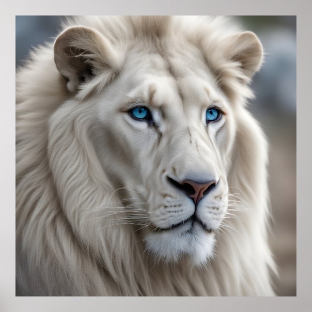 White Lion Poster (Front)
