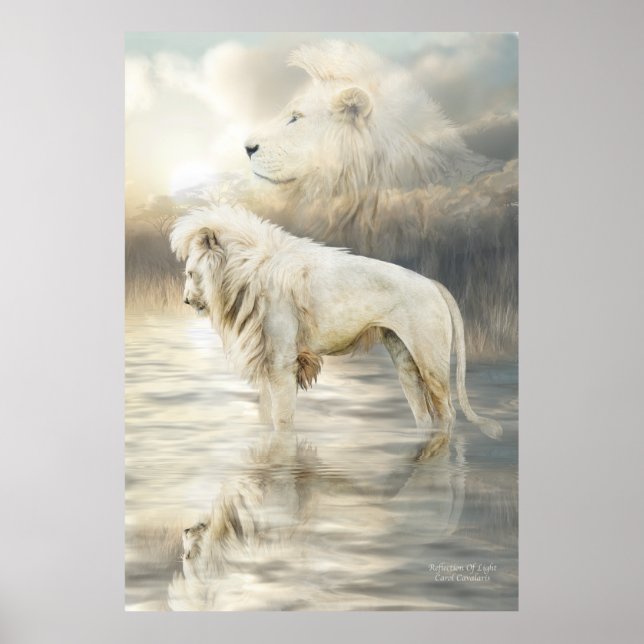 White Lion - Reflection Of Light Fine Art Poster (Front)