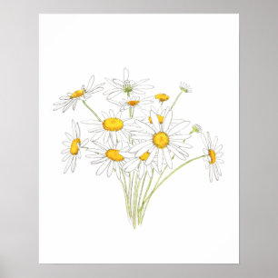 white little daisy bouquet flower watercolor poster