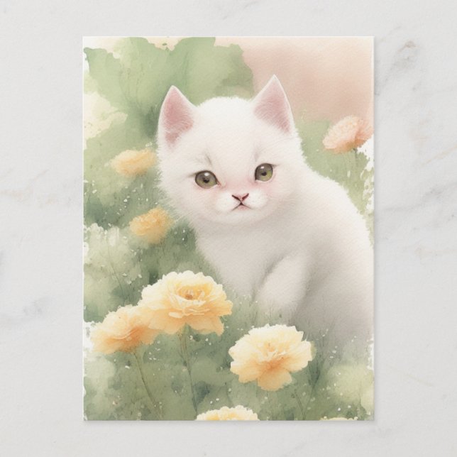 White Little Kitten   Postcard (Front)