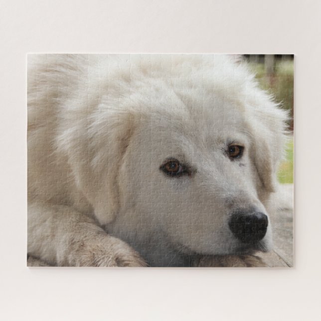 White Livestock Guardian Dog Jigsaw Puzzle (Horizontal)